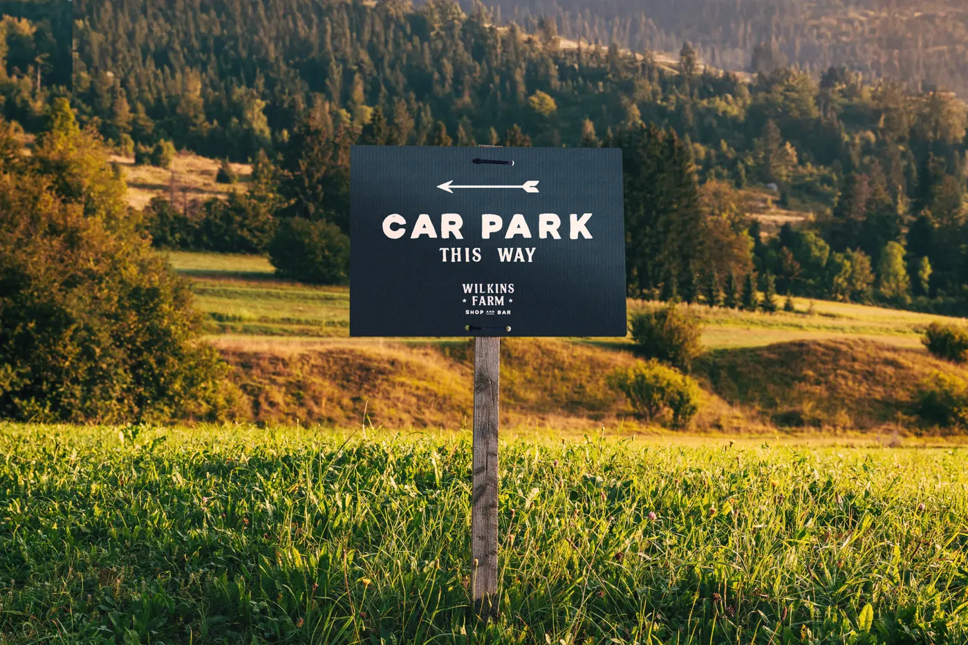 Correx Signs, view 2 – printed by Buzz Media