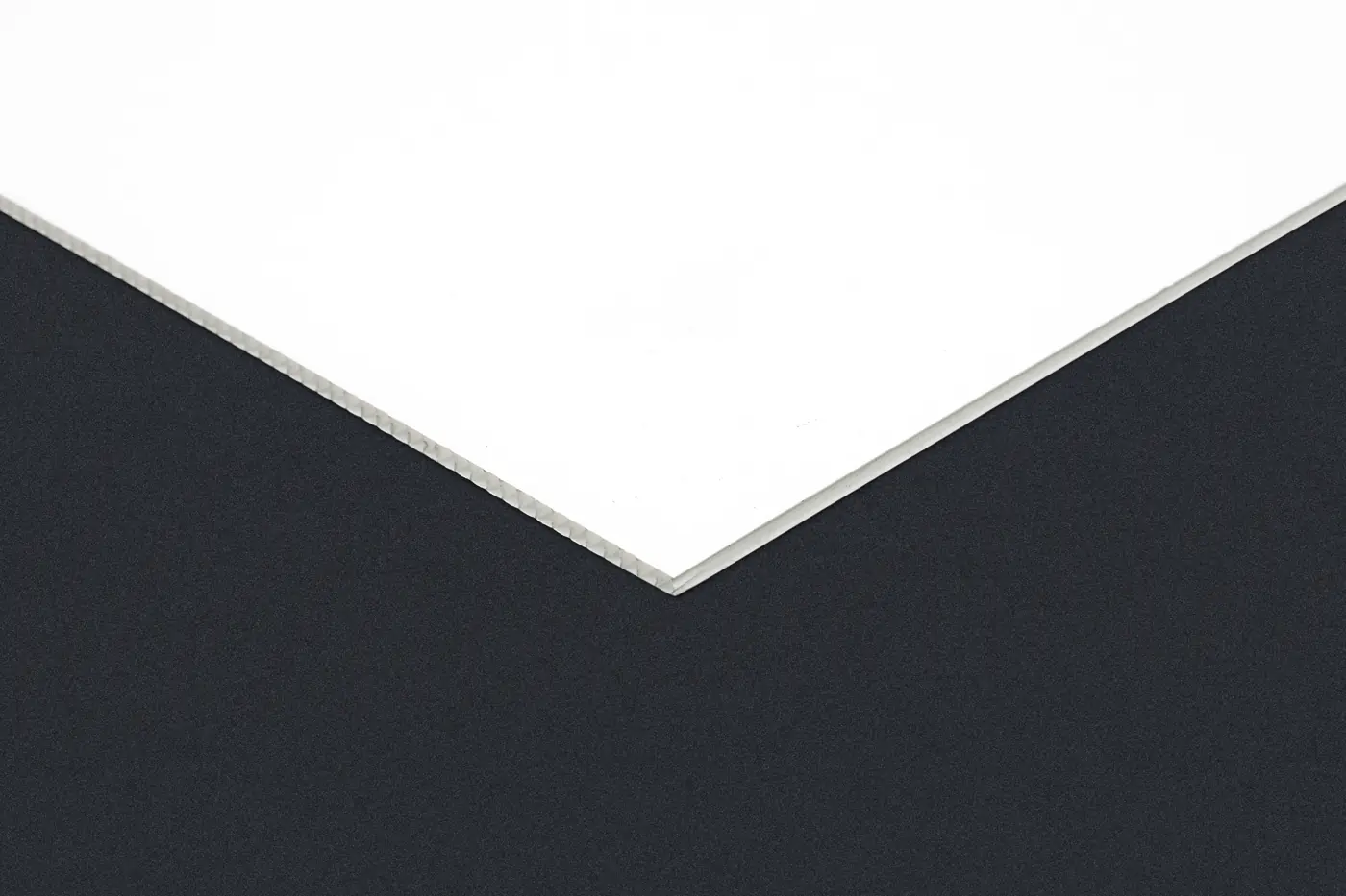 Correx Signs, board edge on dark background – printed by Buzz Media