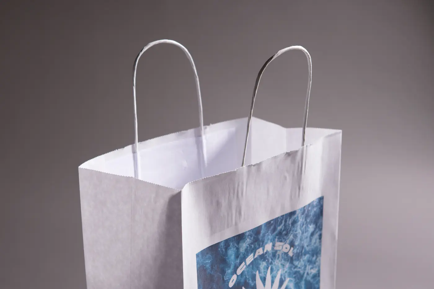 Paper Bags, white paper, view 2 – printed by Buzz Media