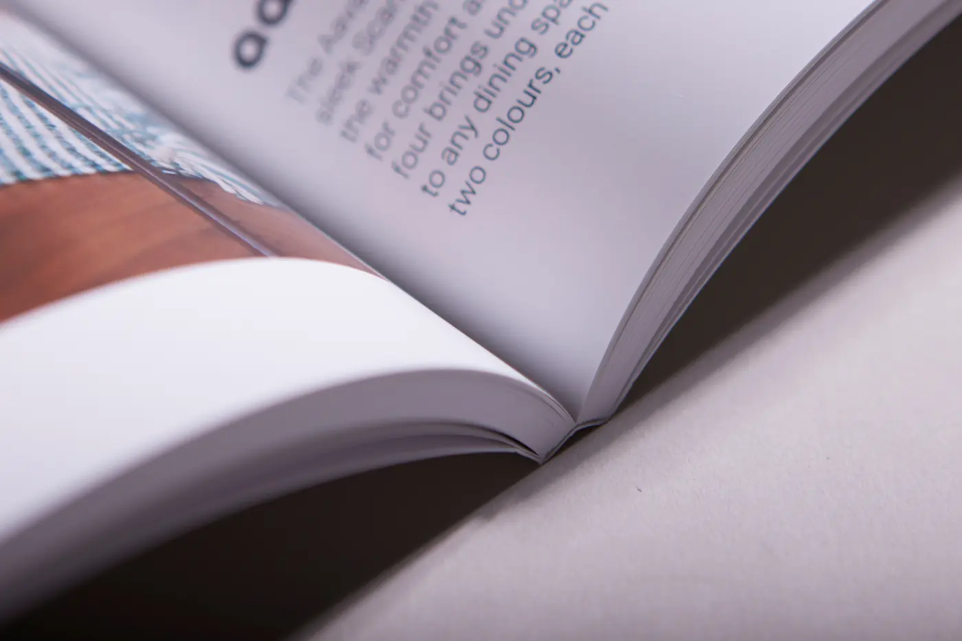 Perfect Bound Books, view 6 – printed by Buzz Media